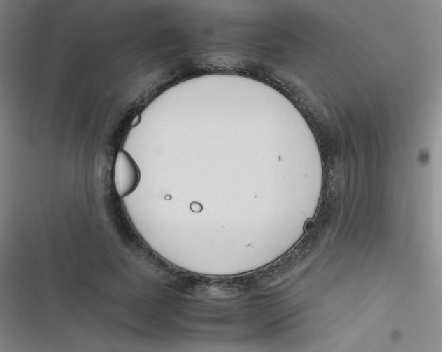 X0000116820739201001081416