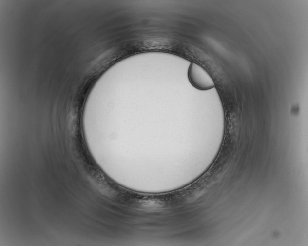 X0000116820741201001081416