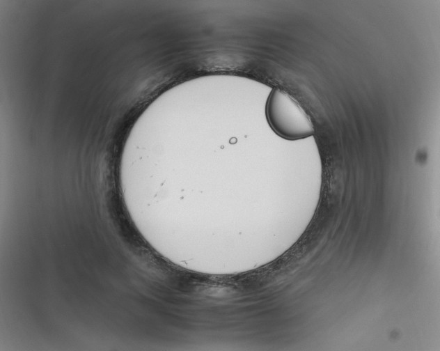 X0000116820743201001081416