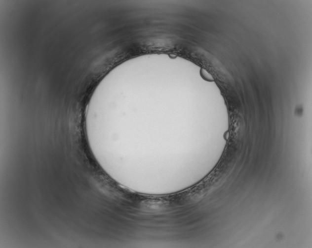 X0000116820745201001081416