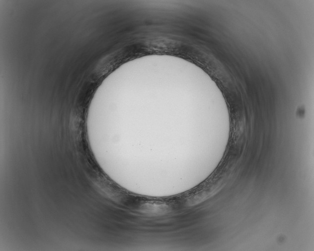 X0000116820749201001081416