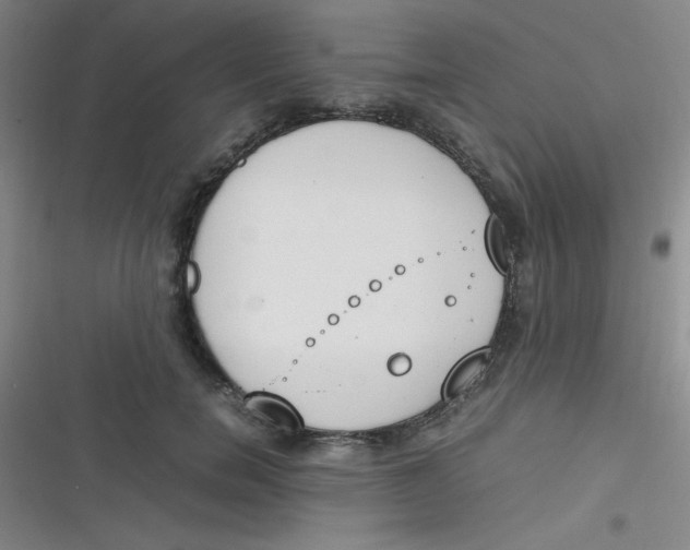 X0000116820750201001081416