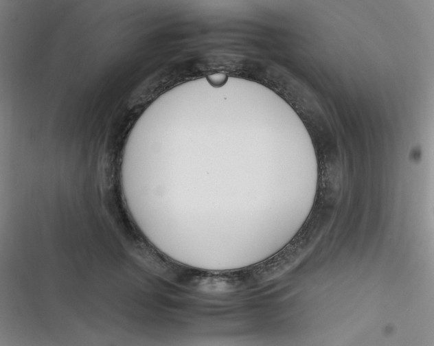 X0000116820751201001081416