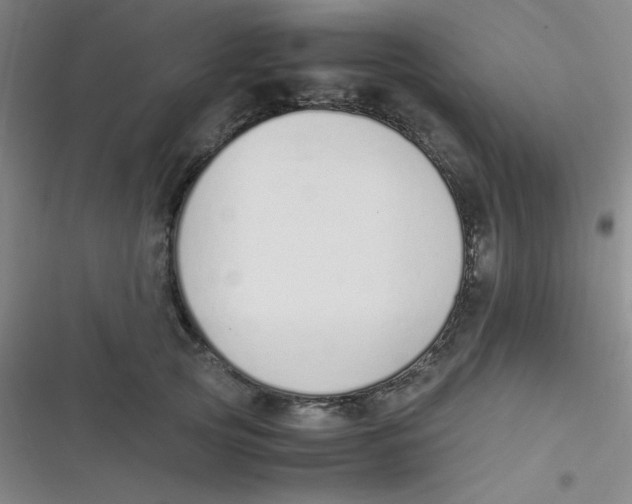 X0000116820753201001081416