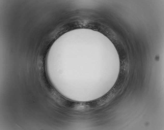 X0000116820754201001081416