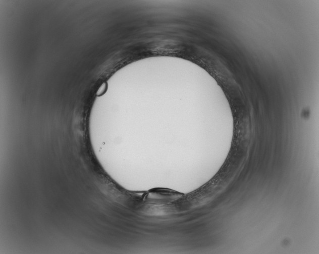 X0000116820755201001081416