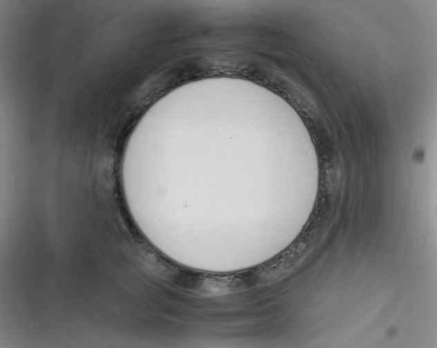 X0000116820757201001081416