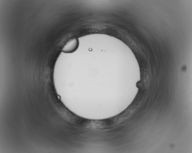 X0000116820758201001081416