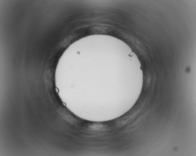 X0000116820759201001081416