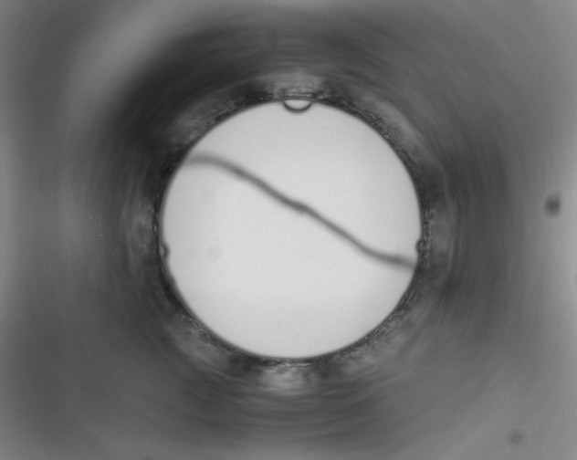 X0000116820761201001081416