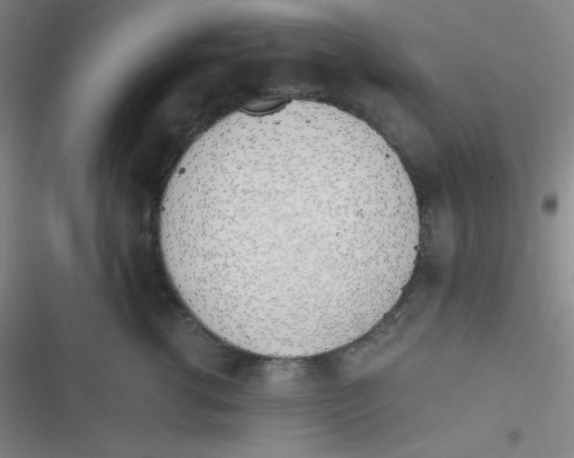 X0000116820762201001081416