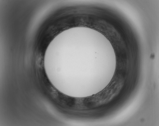 X0000116820766201001081417