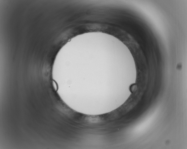 X0000116820767201001081417