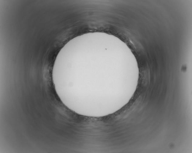 X0000116820770201001081416