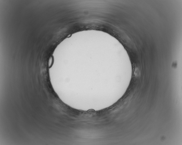 X0000116820771201001081416