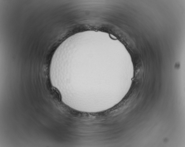 X0000116820772201001081416