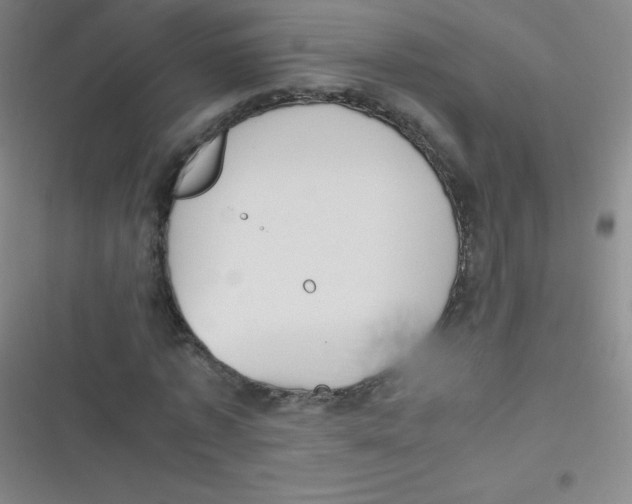 X0000116820773201001081416