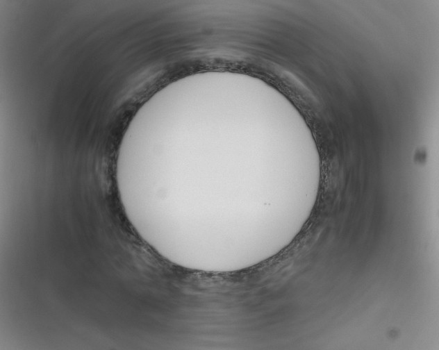 X0000116820774201001081416