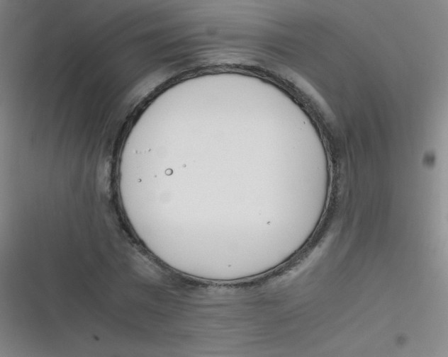 X0000116820777201001081416