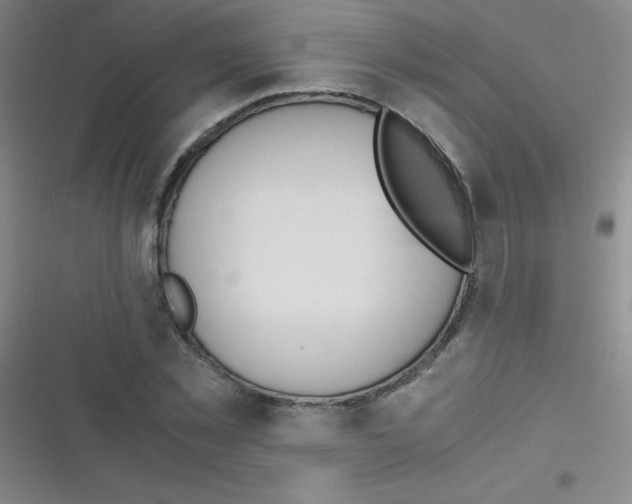 X0000116820781201001081416