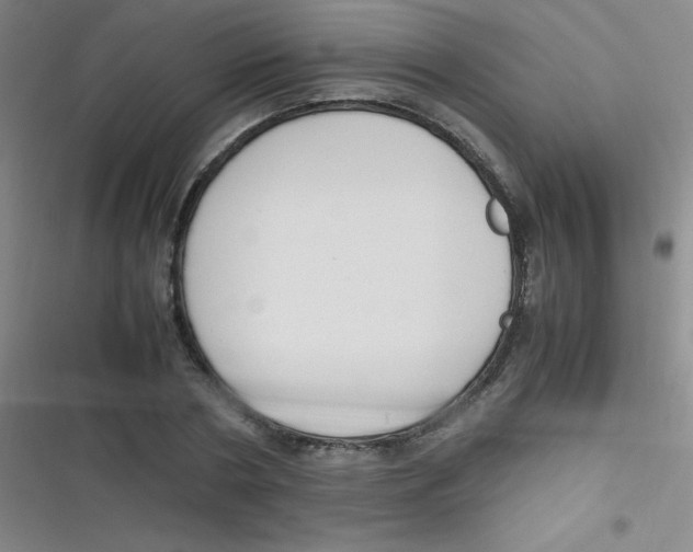 X0000116820786201001081416