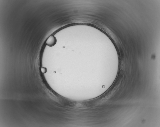 X0000116820787201001081416