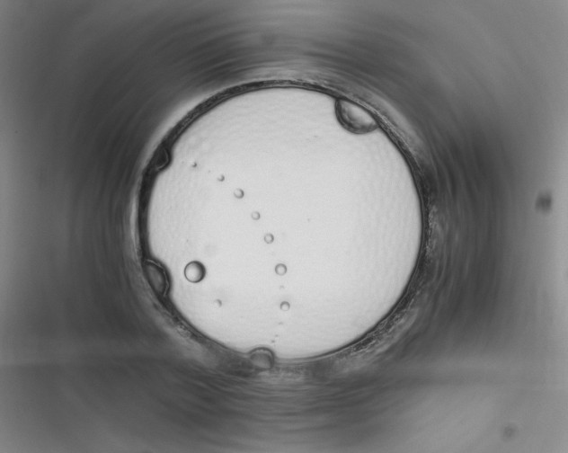 X0000116820788201001081416