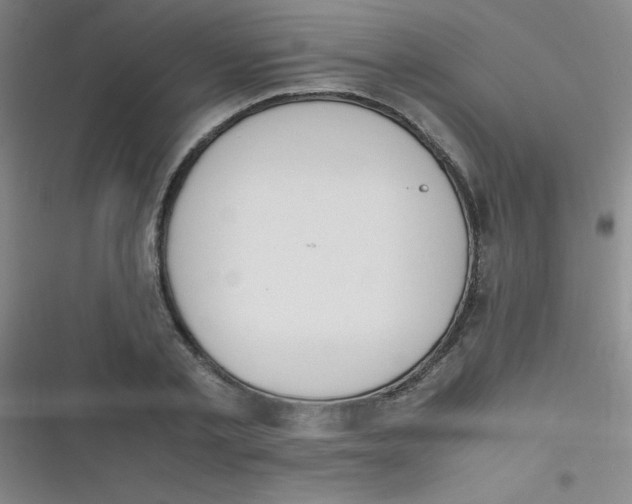 X0000116820789201001081416