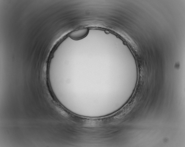 X0000116820790201001081416