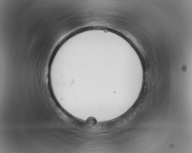 X0000116820791201001081416