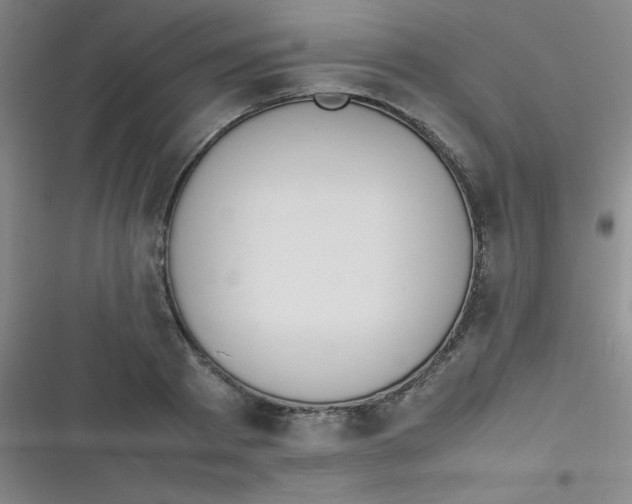 X0000116820793201001081416