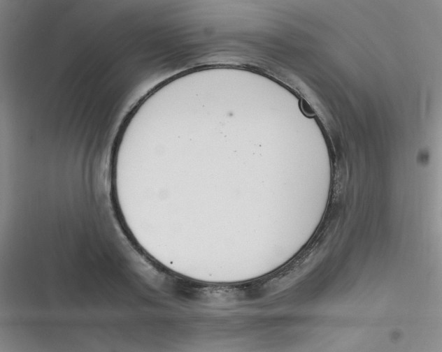 X0000116820795201001081416