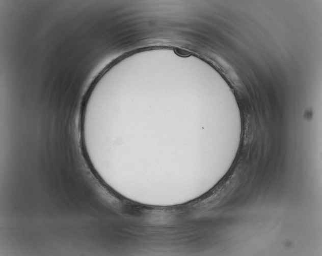 X0000116820796201001081416