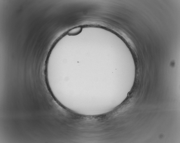 X0000116820799201001081416