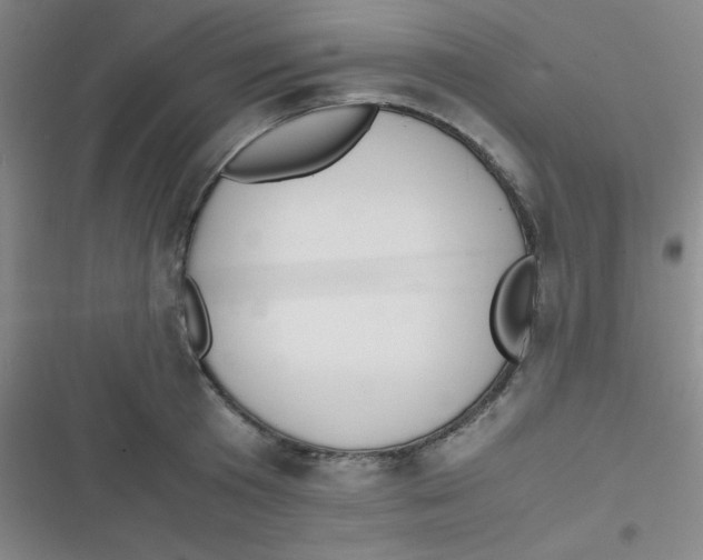 X0000116820801201001081415