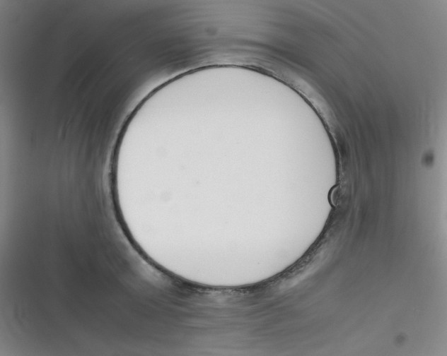 X0000116820803201001081415