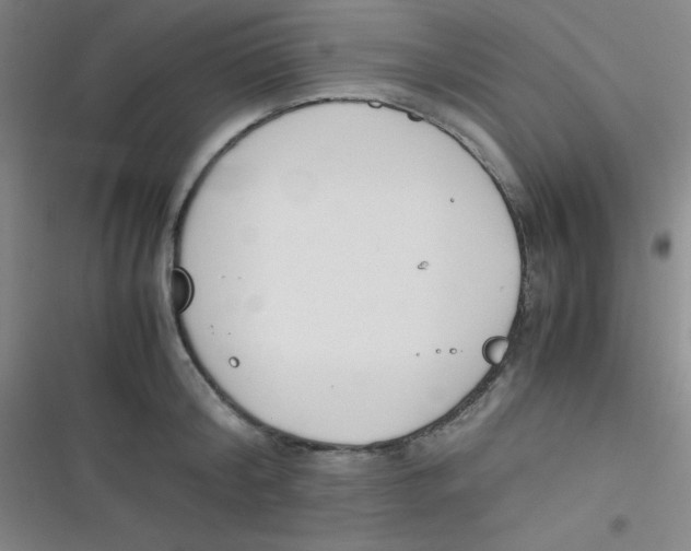 X0000116820804201001081415