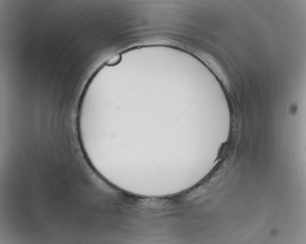 X0000116820805201001081415