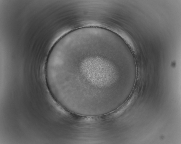 X0000116820806201001081415