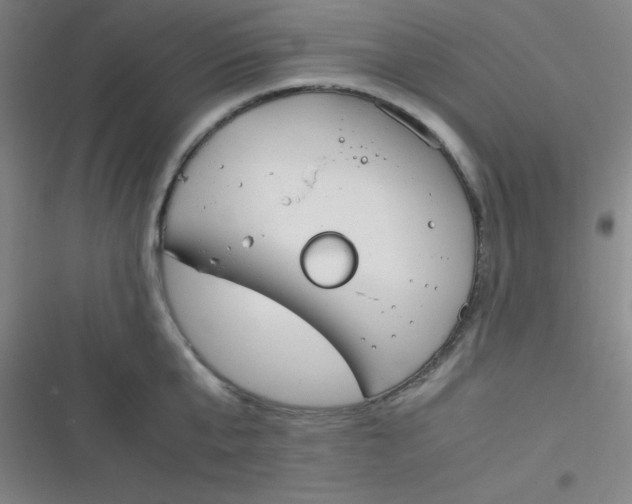 X0000116820807201001081415