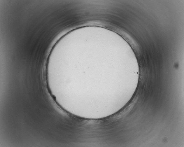 X0000116820808201001081415