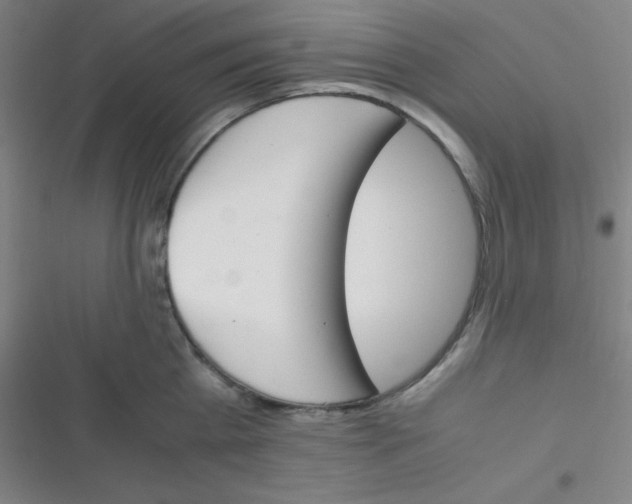 X0000116820809201001081415