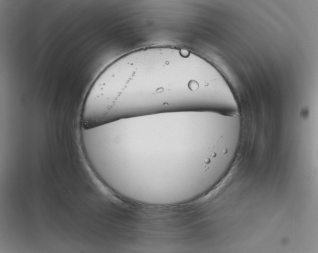 X0000116820810201001081415