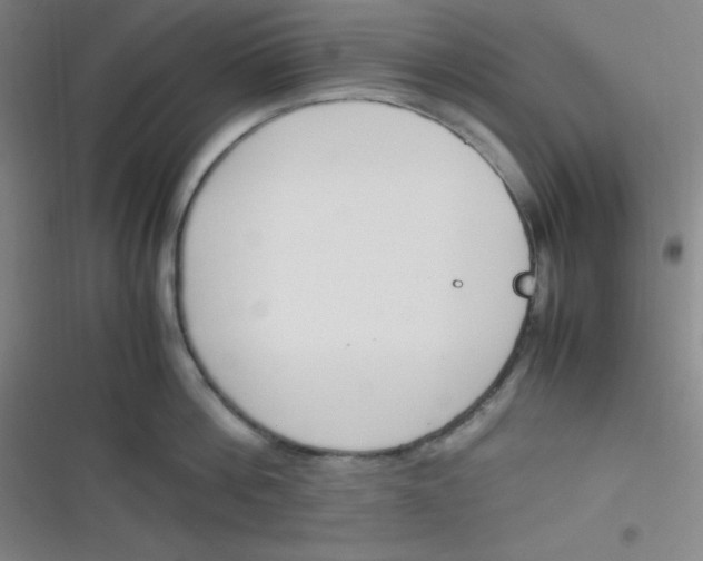 X0000116820812201001081415