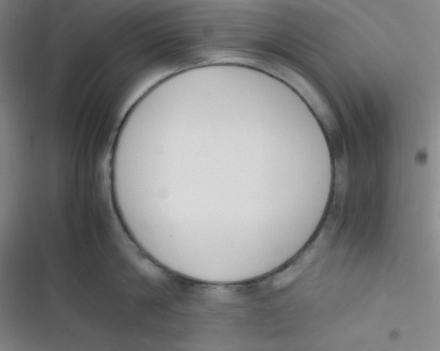 X0000116820814201001081415