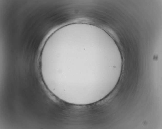 X0000116820816201001081415