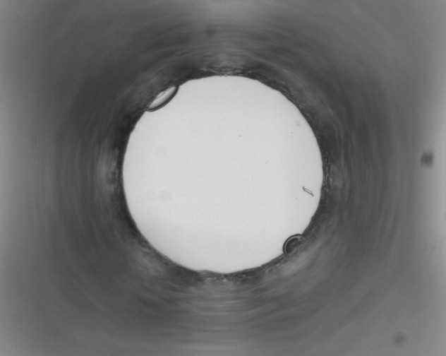 X0000116820818201001081415