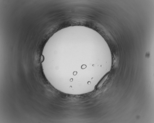 X0000116820819201001081415