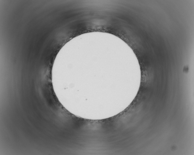 X0000116820820201001081415