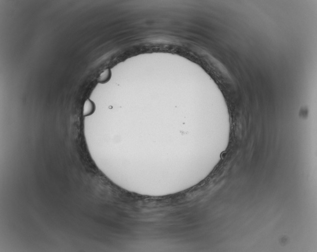 X0000116820821201001081415